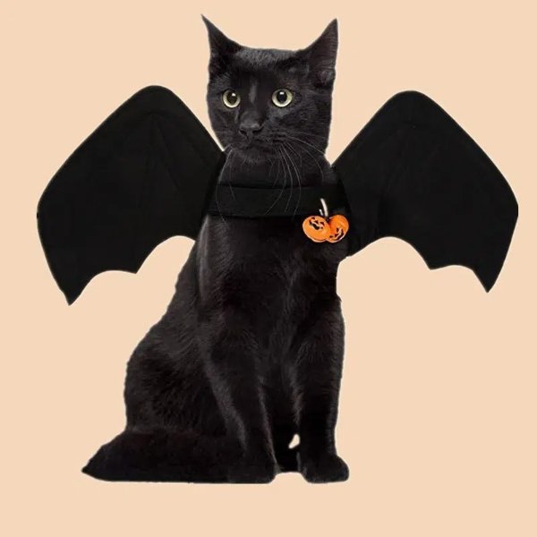 Cats And Dogs Halloween Costumes With Bells