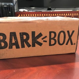 每天爱你多一点 | BarkBox 汪星人订阅礼盒