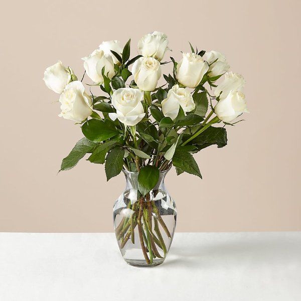 12 Stem Moonlight White Rose Bouquet With Ginger Vase