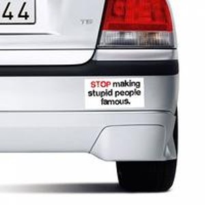 "Stop Making Stupid People Famous"车尾贴