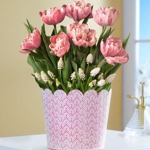 1-800-Flowers.com Simply Charming Bulbs
