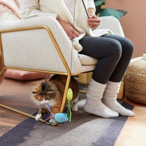 starting at $3Chewy Cat Teasers & Wand Toys