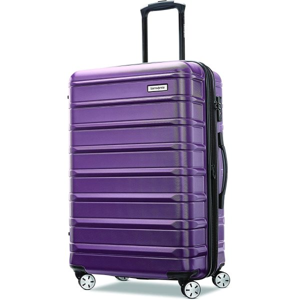 Omni 2 Hardside Expandable Luggage with Spinner Wheels, Checked-Medium 24-Inch, Purple