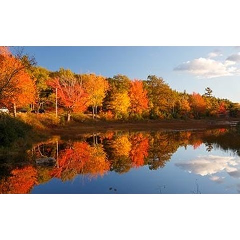 Canada&New England