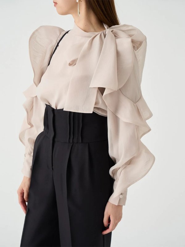 Sustainable Organza See-Through Blouse