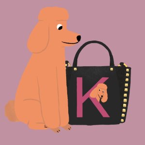 Staring From $290Valentino Pets Sale