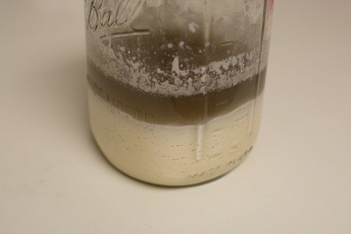 140106Starter-1.jpg