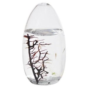 EcoSphere Small Pod - 5.25 inches