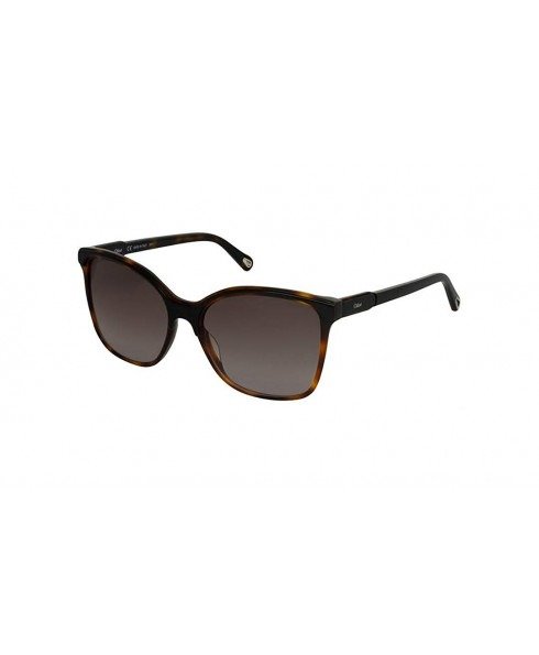 CE733S 004 - Black Havana Coloured Sunglasses for Women