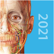 《人体解剖学图谱2021》iOS/Android app