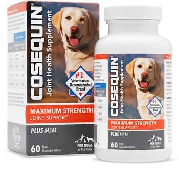 Cosequin Maximum Strength Joint Health Supplement for Dogs - With Glucosamine, Chondroitin, and MSM