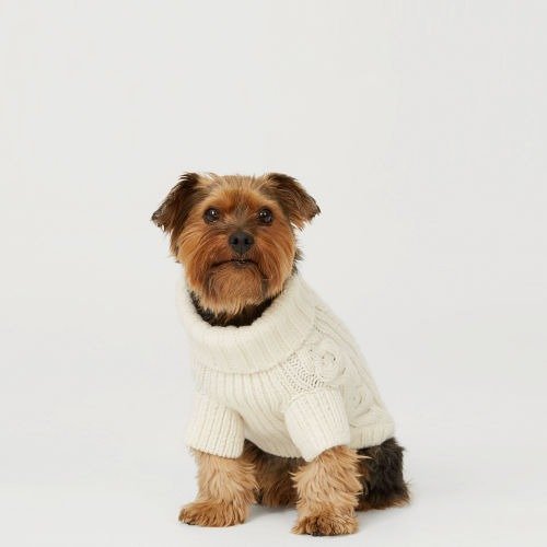 Gwinny Dog Sweater
