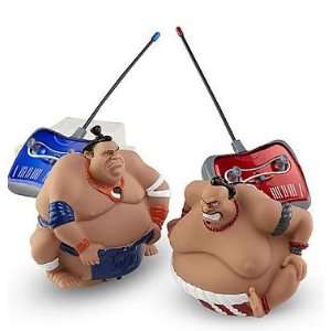 Sumo King Wrestling RC Fighters