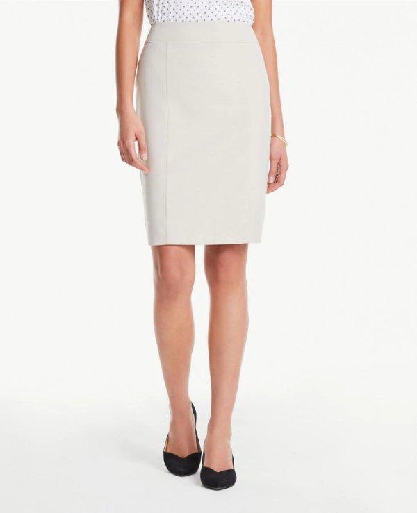Seamed Pencil Skirt in Neutral