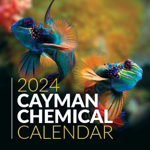 2024 Cayman 新年日历