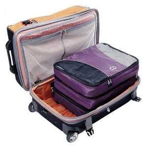 3 Pack eBags Large Packing Cubes