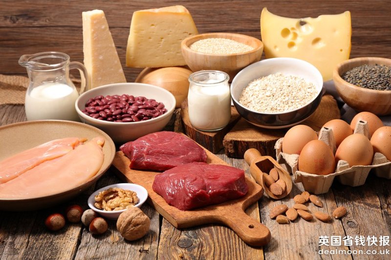 Introduction-to-Protein