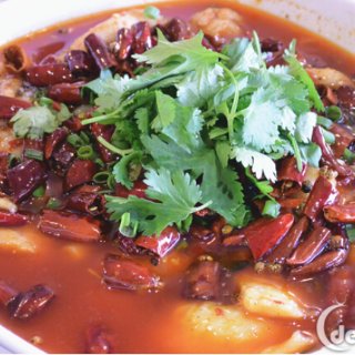 老熊川菜 - Little Sichuan Cuisine - 达拉斯 - Plano
