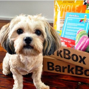 Last Day: With Purchase of Barkbox Subscription @ Barkbox