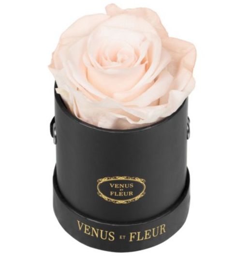 VENUS ET FLEUR - Eternity De Venus Le Mini Round Eternity Rose