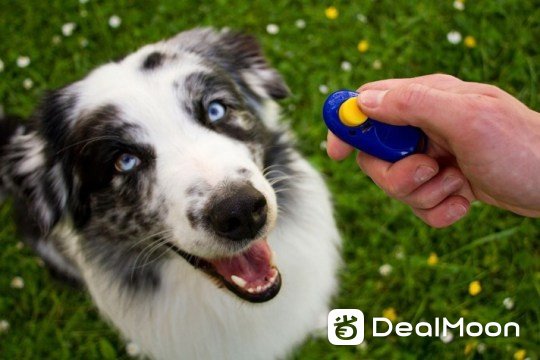 clicker.jpg