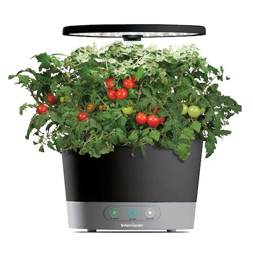 Harvest 360 with Gourmet Herb Seed Pod Kit