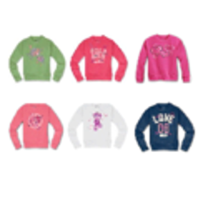 Hanes Girls' Ecosmart Crew Neck Sweatshirt 6-Pack
