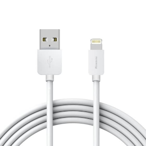 Lightning / micro USB Cable