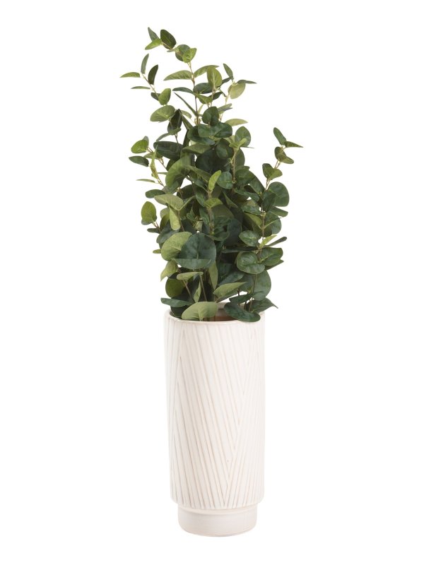 Large Eucalyptus In Layered Line Vase