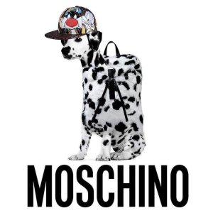 MOSCHINO Love Collections @ FORZIERI