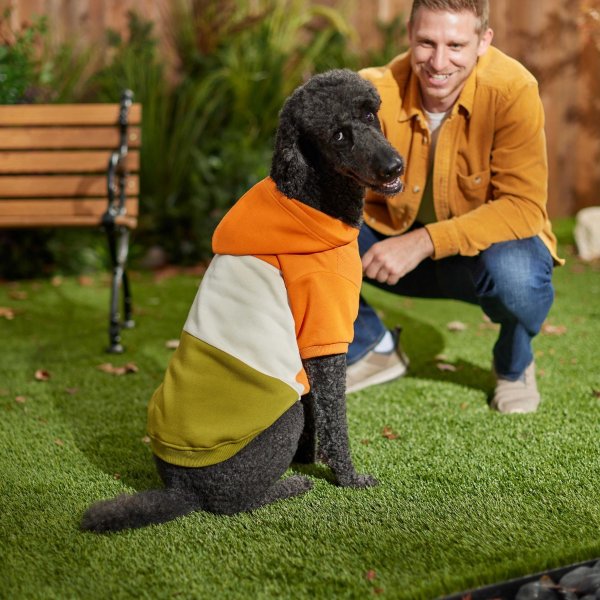 Colorblock Dog & Cat Hoodie with Sleeves, Olive/Orange, X-Small - Chewy.com