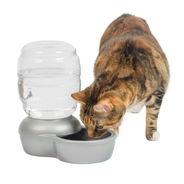 Petmate Replendish Automatic Gravity Waterer for Cats and Dogs
