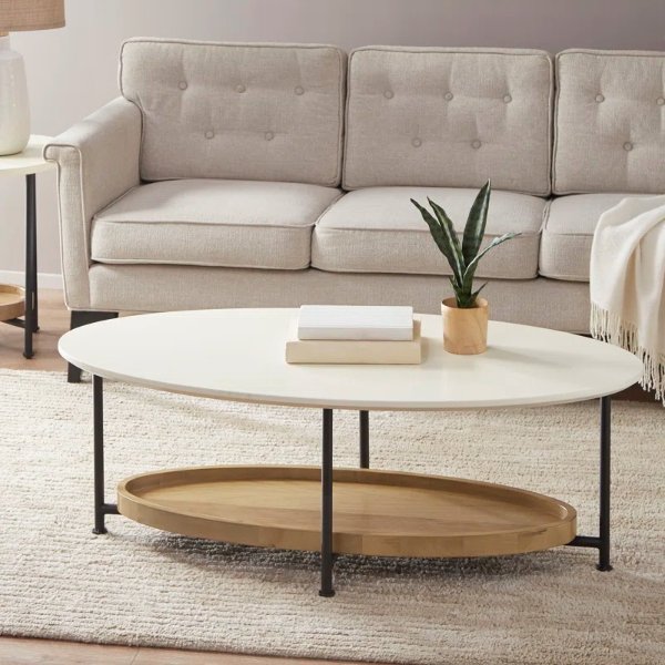 Nicia 4 Legs Coffee Table with Storage
