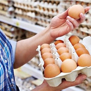 20 Million Eggs Were Supposed to Salmonella Infection