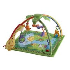 Fisher-Price Melodies & Lights Deluxe Gym