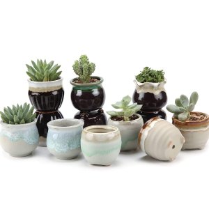 T4U Small Ceramic Succulent Pots with Drainage Set of 12
