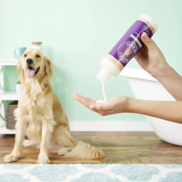 Original Lavender & Mint Dog Shampoo & Conditioner