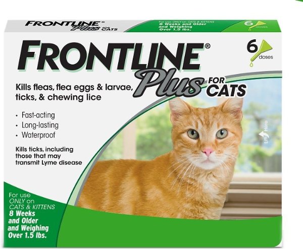 Plus 猫咪体外驱虫剂6剂