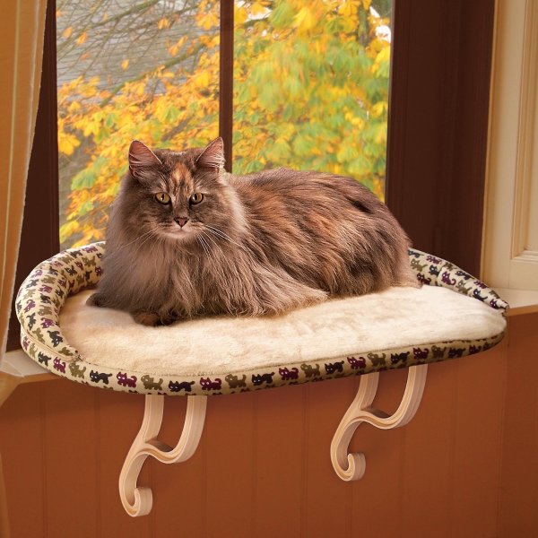 Deluxe Kitty Sill Cat Window Perch, Kitty Print - Chewy.com