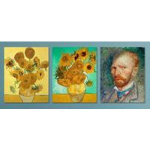 16"x20" Vincent van Gogh Print on Metal 