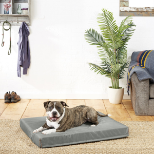Helix Dog Bed @ Chewy