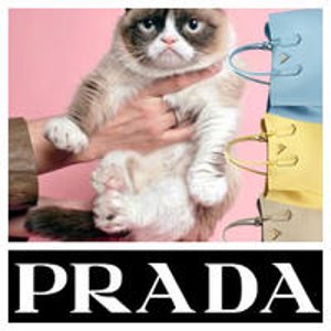 Prada Designer Handbags on Sale @ MYHABIT