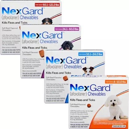 Chewables for Dogs | Free Shipping - 1800PetMeds
