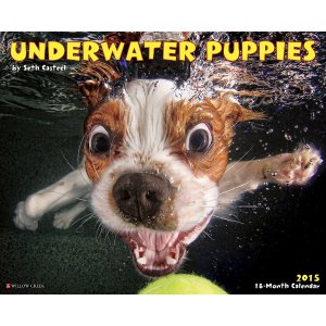 Underwater Puppies 2015 Wall Calendar