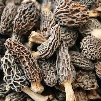 Grade B Wild Dried Morel Mushroom 2oz
