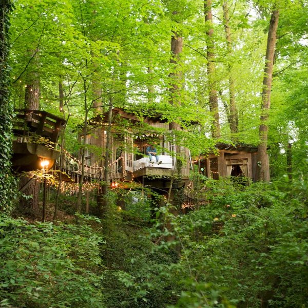 Secluded Intown Treehouse - 亚特兰大的树屋 出租, 乔治亚州, 美国