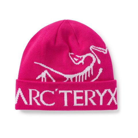 ARCTERYX Arc'teryx Bird Word Toque 45.00