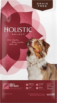 Holistic Select Adult & Puppy Health Salmon, Anchovy & Sardine Meal Recipe Grain-Free Dry Dog Food, 24-lb bag - Chewy.com