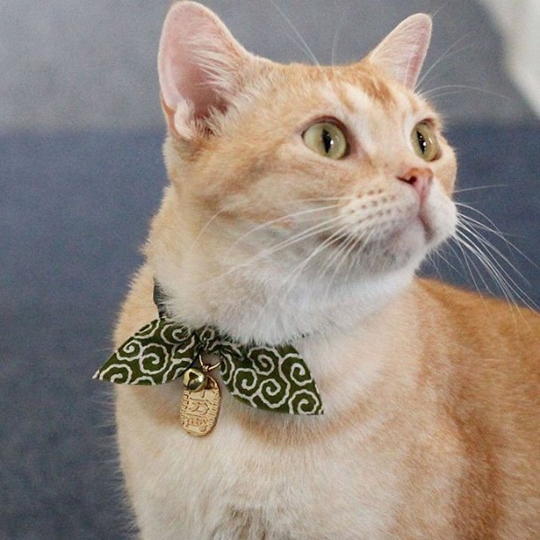 Ninja Cat Collar, Green - Chewy.com