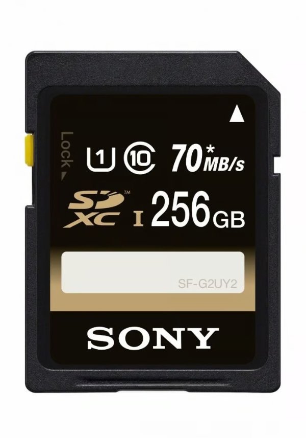 256GB Class 10 UHS-I SDXC 存储卡